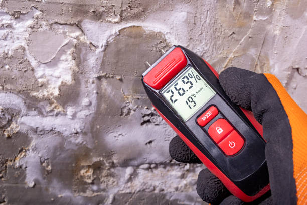 Best Residential Mold Removal  in Decatur, AR
